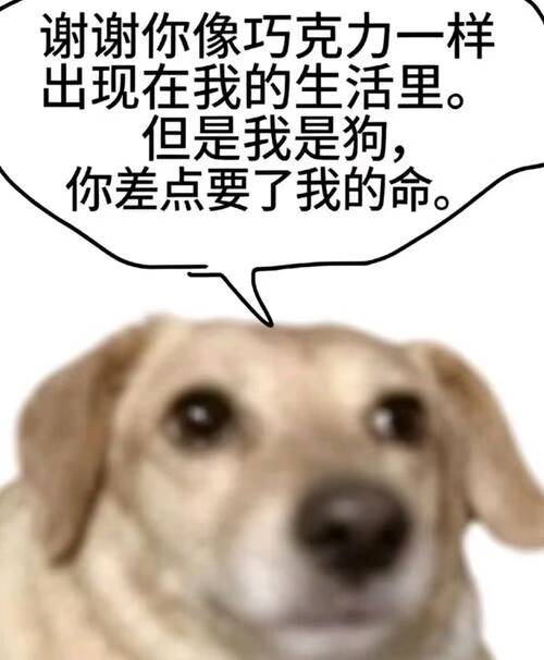 评论图片
